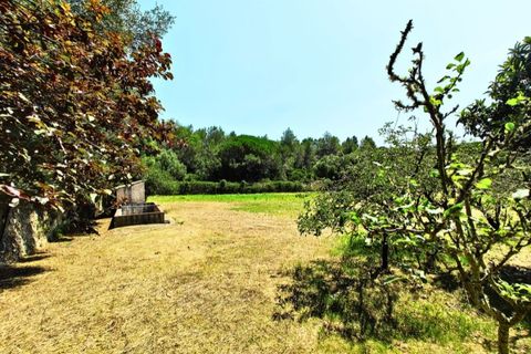Herregård i Sintra, Lisbon, Sintra - € 1 799 000 | Ref: W-02WOZX - foto 39